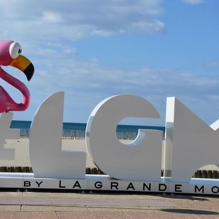 Superbe Studio Au Calme A 8Mn De La Plage La Grande Motte Exteriér fotografie