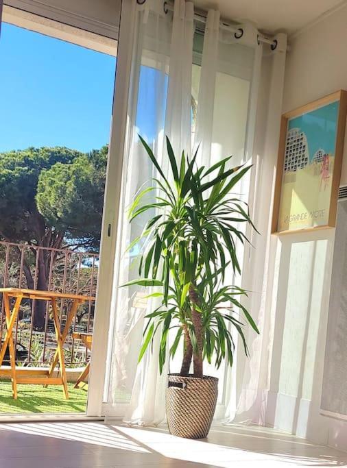 Superbe Studio Au Calme A 8Mn De La Plage La Grande Motte Exteriér fotografie